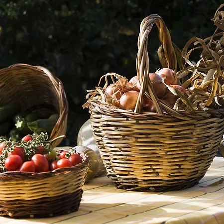 Poggio Del Sole ホテル Forio di Ischia