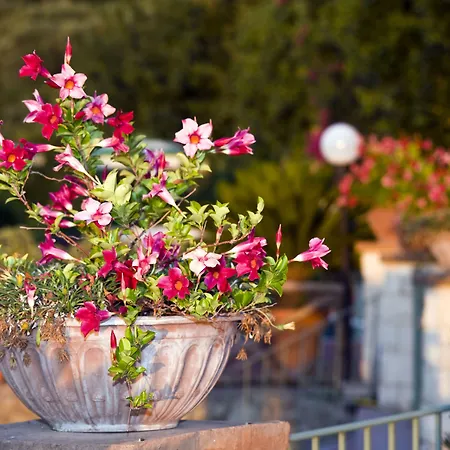 Hotel Poggio Del Sole 3*