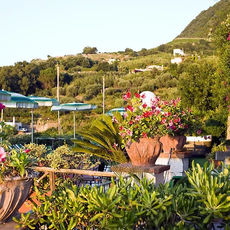 Poggio Del Sole 3* Forio (Isola d'Ischia)