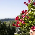 Poggio Del Sole 3*